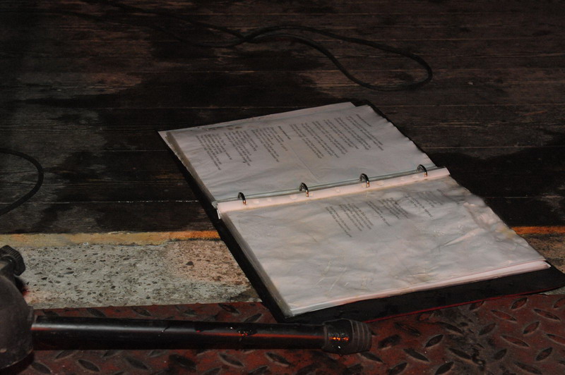 Skupina �alman Brothers Band v Prahe a okol�